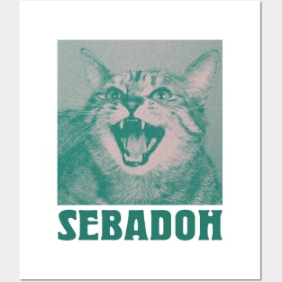 Sebadoh Posters and Art